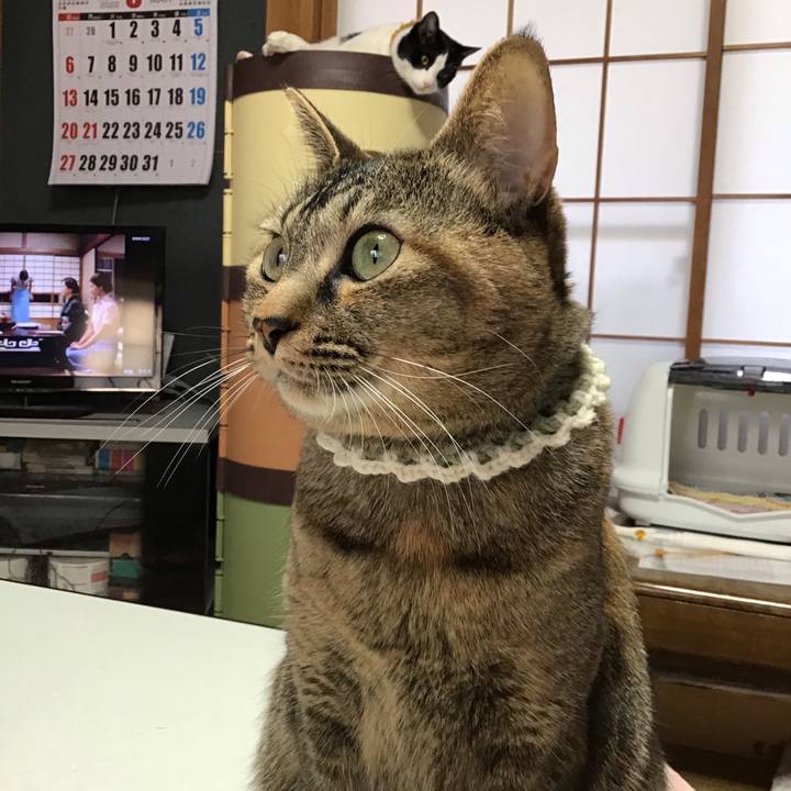 8c0b30d5 997e 488d 8493 35f596c301e2 1646438272957