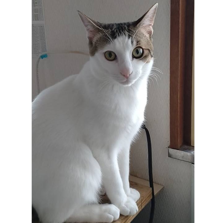 8c0b49ce ff9c 4457 802e 9846ca6c5f64 1651965240874