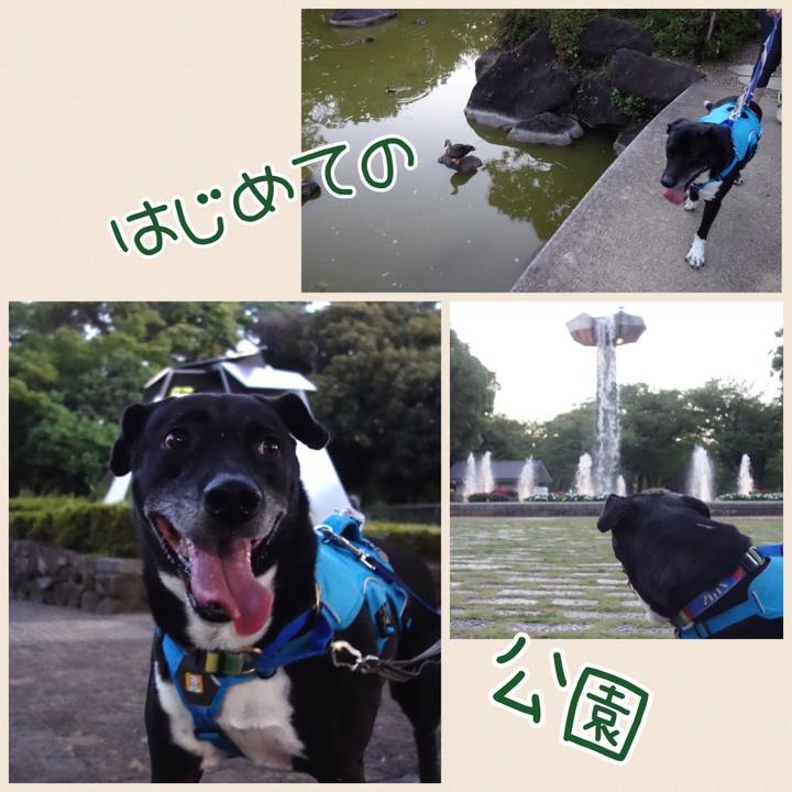 8c0b55ca aa8d 4083 ac8e aaf8f84d8784 1690198047134