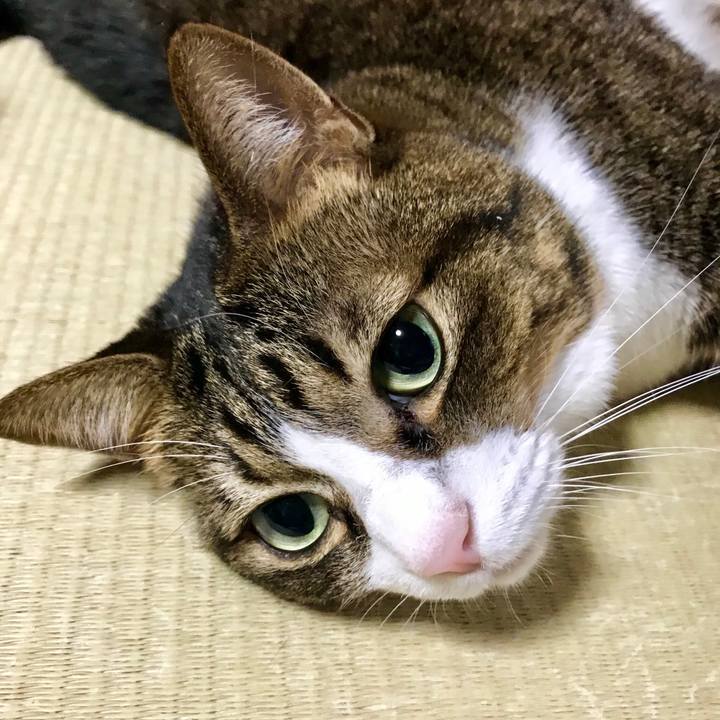 8c0b77dd f74d 462f 8bb0 7902745f31f4 1544062596374