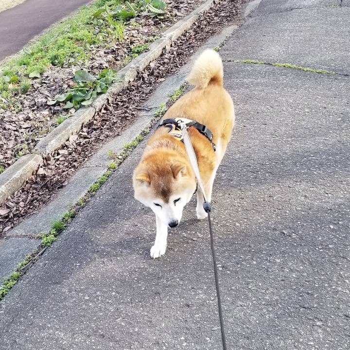 8c0ba74c 9a42 4bb8 8398 343d14a1f5ba 1712819177868