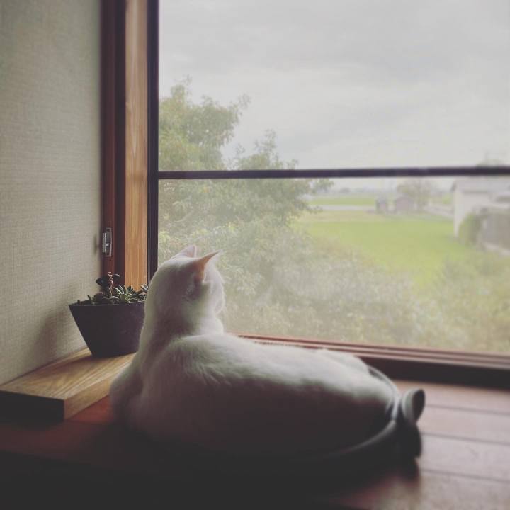 8c0bb33d fc91 4ab0 9468 9347327a11f3 1631832360009