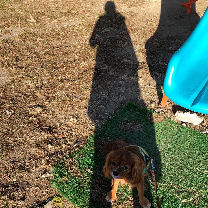 8c0bd6b2 aa58 4ae5 bde4 5bdd9c0b432a 1608673953619