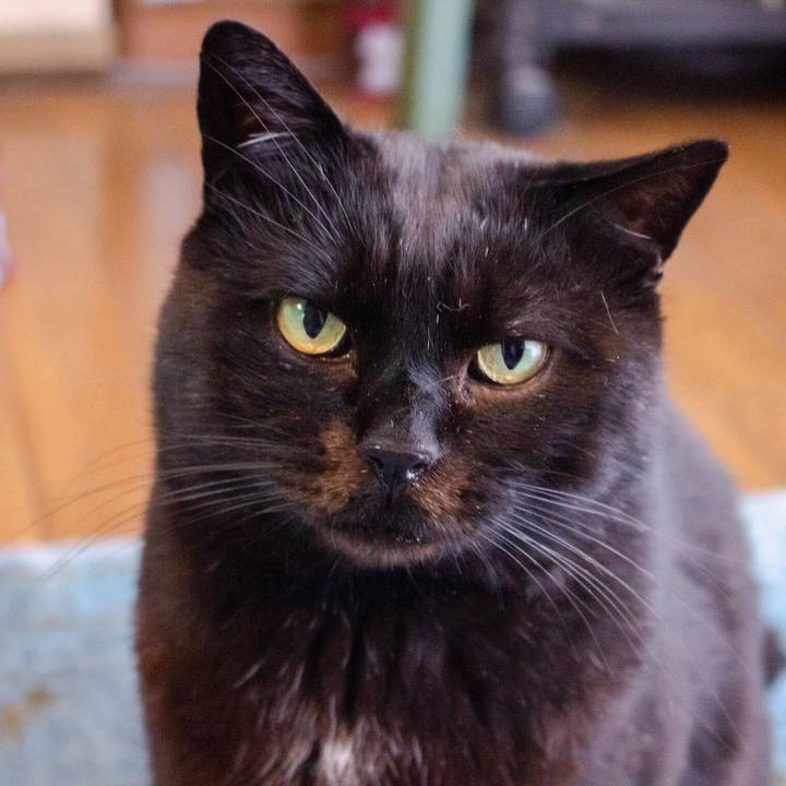 8c0c00dd 7235 4624 8e9c 8645462439c9 1773283753317