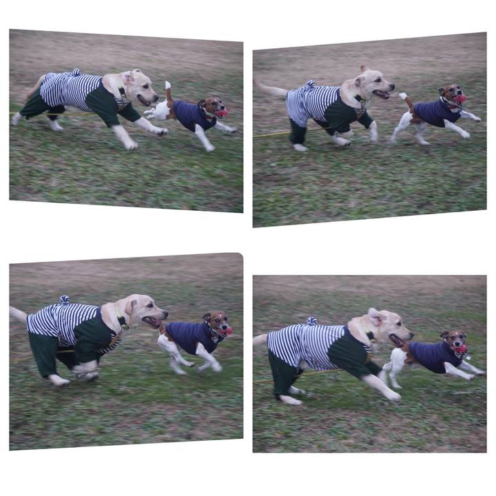 8c0c16a8 e180 41f0 9a60 7e9ee5577107 1607469787848