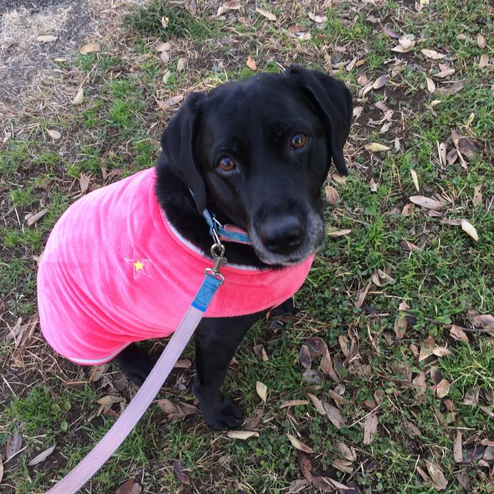 8c0c25ef 8a27 4963 ba8d 427c9dc9feeb 1511313847453