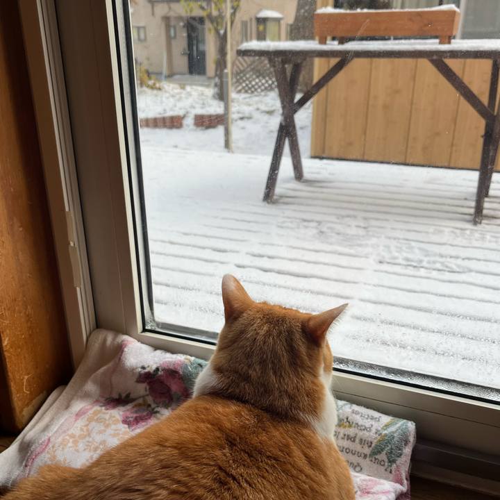 8c0c2d7e ab7b 4404 9aa7 e81637d691bc 1762555162868