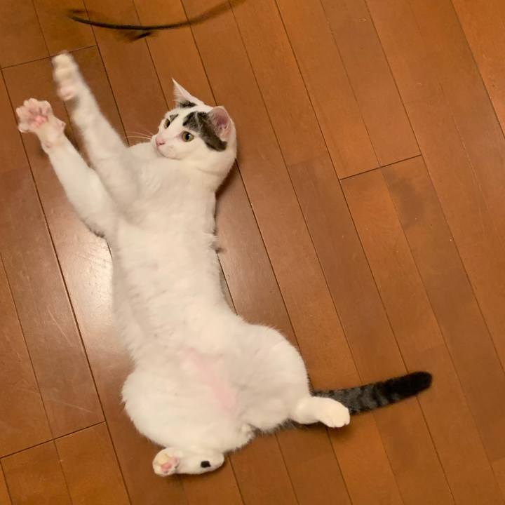 8c0c30e6 5dd9 437e a3a3 deeb0e72f021 1627974226384