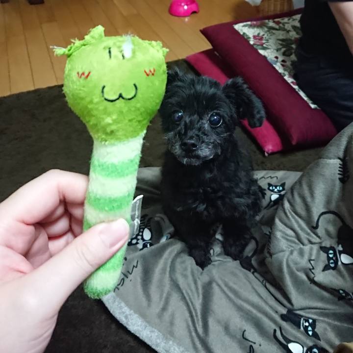 8c0c39d6 ed8a 4c28 b17f 68fb683a8d07 1524394865003