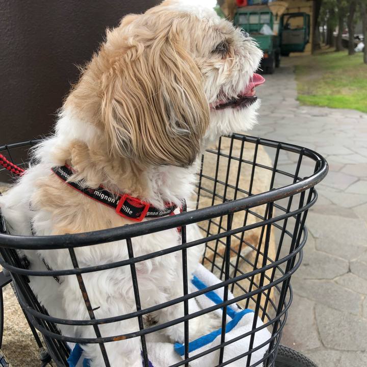 8c0c4063 d0b4 480b 88d8 030afa3c694b 1561854417903