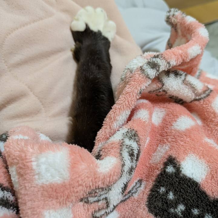 8c0c406d 221b 4c82 8f98 9f04a4ca0aa1 1773658953158