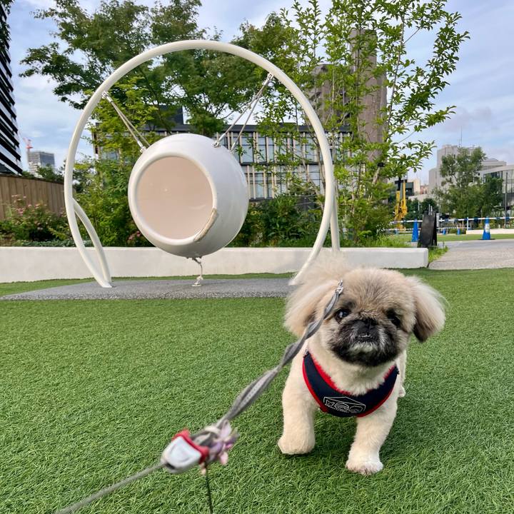 8c0c4e0f a122 4775 b5e0 e025c3454c06 1751665420531