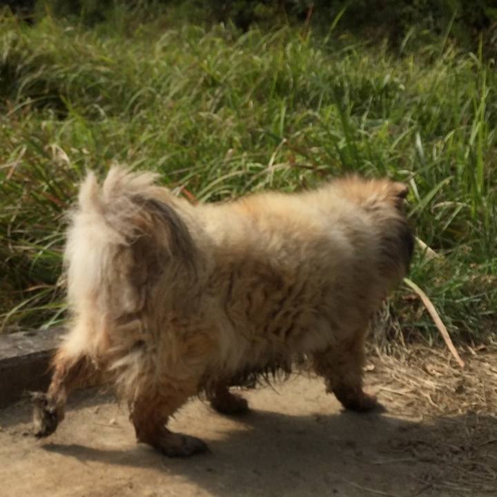 8c0cae4e d8f3 4335 a5d9 bde981011677 1617635970261