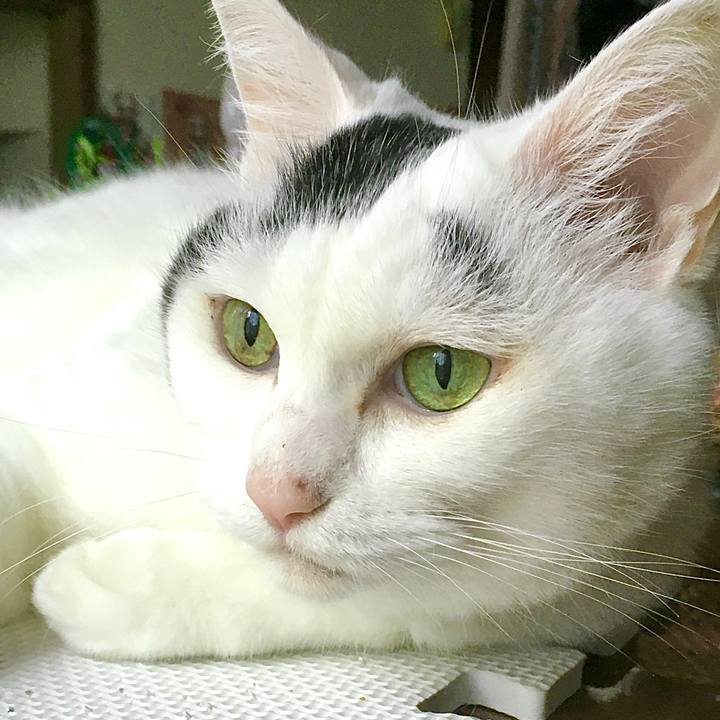 8c0cd157 eff2 4340 91c3 b7d1c81e6c79 1600329130777