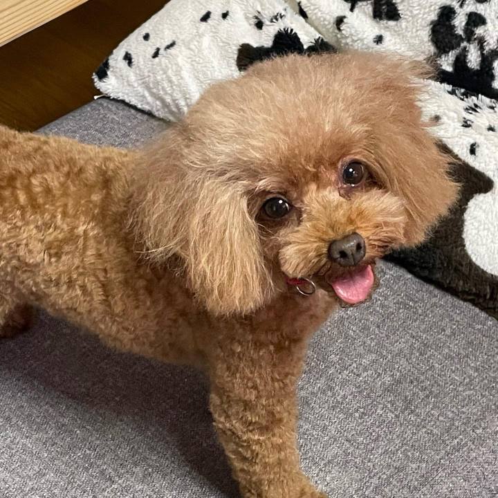 8c0d4338 45f0 4f87 a79f 0d2d5663af66 1653715718203