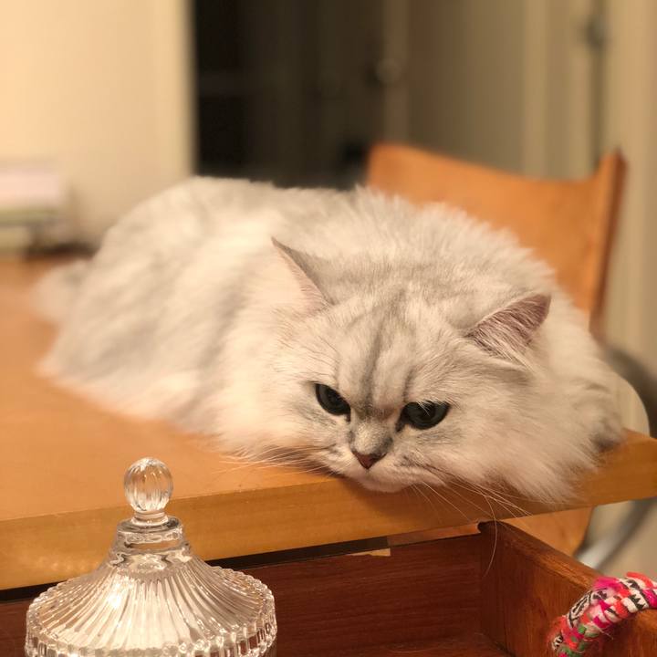 8c0d64fd 7c0c 4188 b370 04732611b4bd 1539133807880