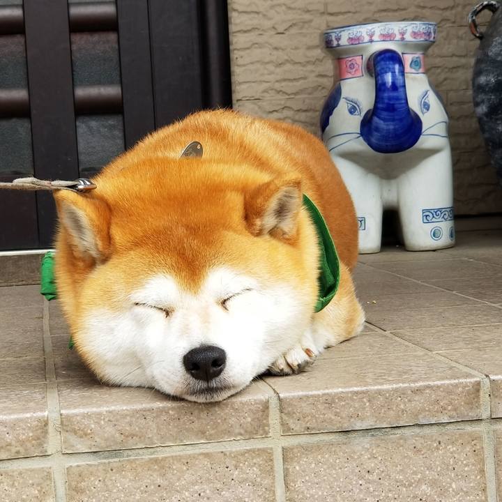 8c0d6919 025b 4a36 bfcb 97127450d3f6 1556071238653