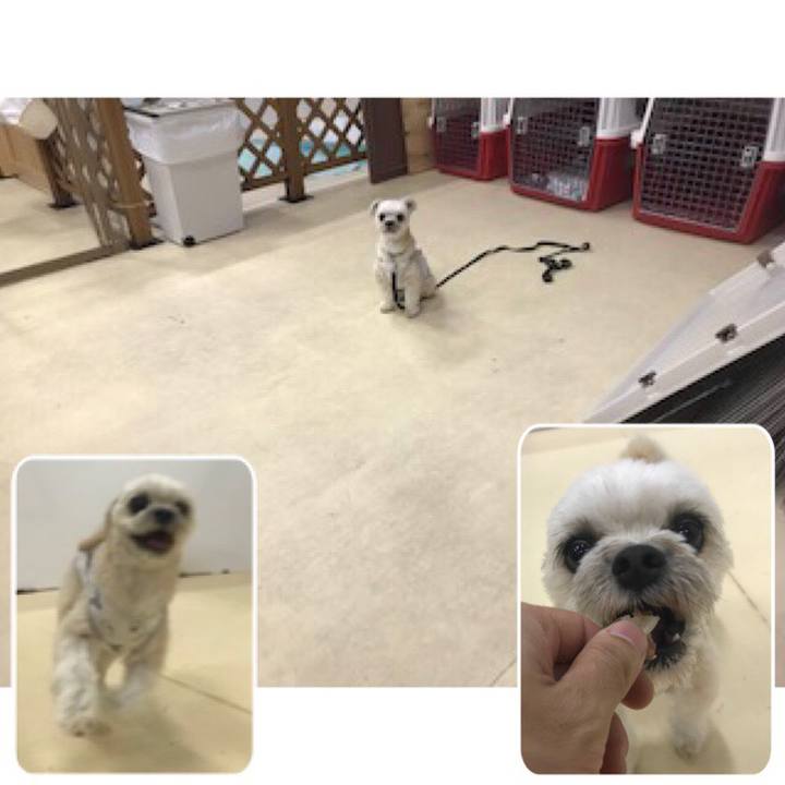 8c0d9045 e30d 4e4c a900 8c1505de27f0 1563272242683