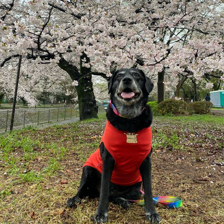 8c0ddf8e 9c73 4c15 8962 47c7a195d46e 1679734179816