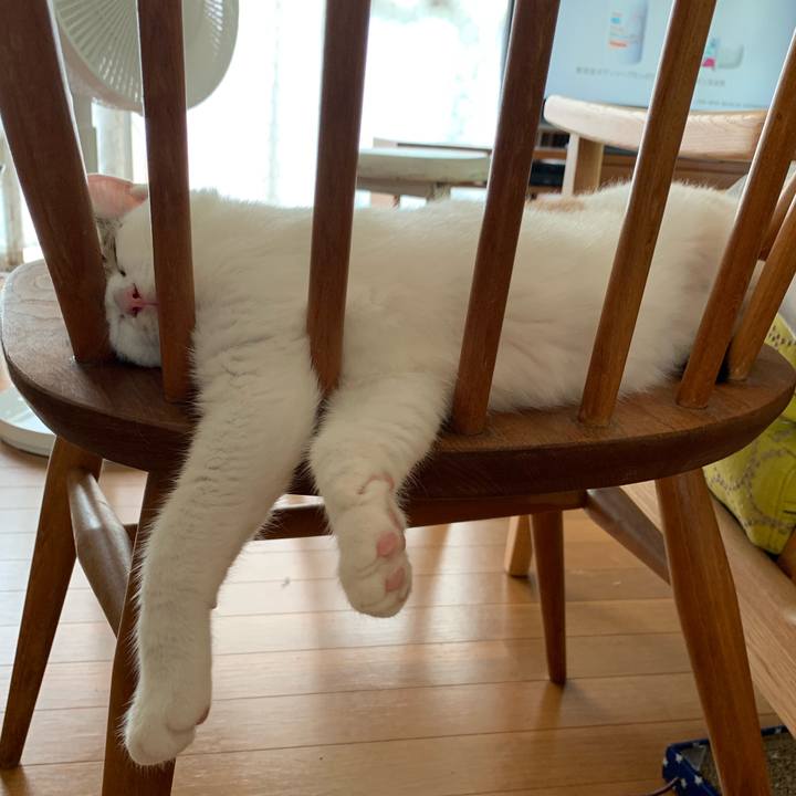 8c0e0a96 9d66 4b9c a6a1 1ec9847fd079 1596071643789