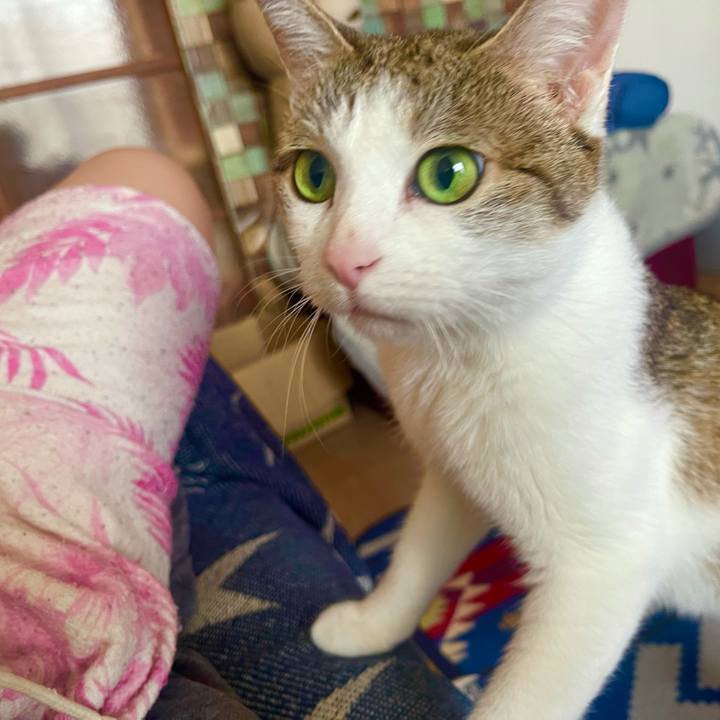 8c0e0cb7 5793 4b3f a802 d7a25c00a9c1 1627630249700