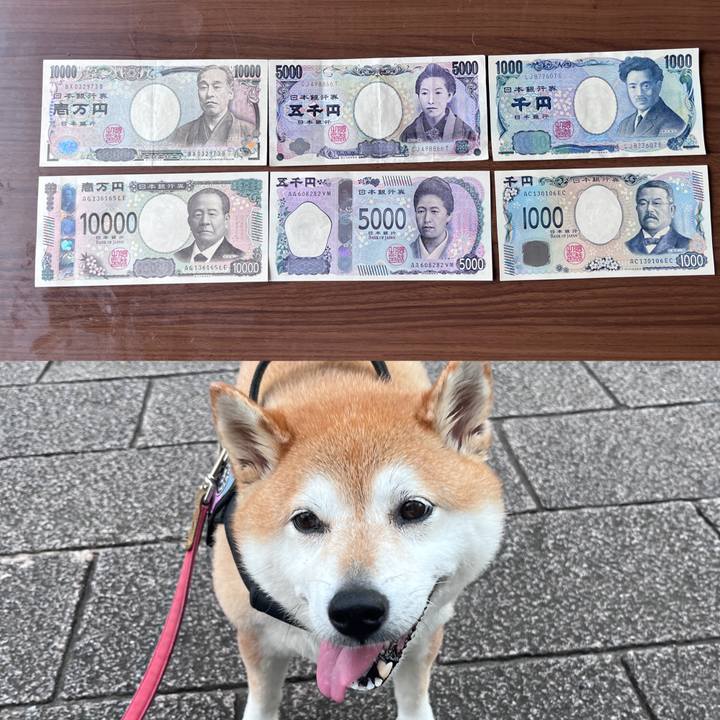 8c0e331f 65dc 43b8 a1eb fcff61104f73 1720175641764