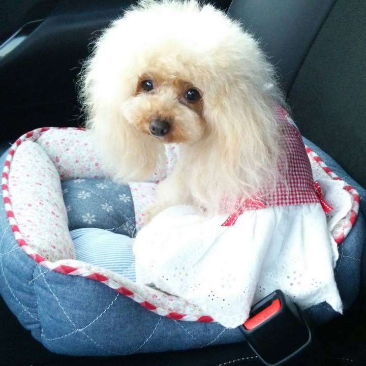 8c0e692a a3e8 405d b9eb 4fc082199503 1558272351039