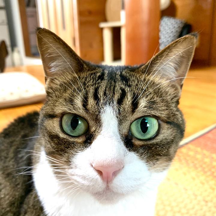 8c0e6e40 081c 496f b1c1 f7e1ccc2e3a2 1593236267140