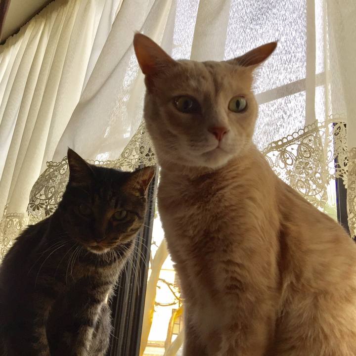 8c0e7565 9e69 409d 83fa 69e9bde1b6fe 1558246298910