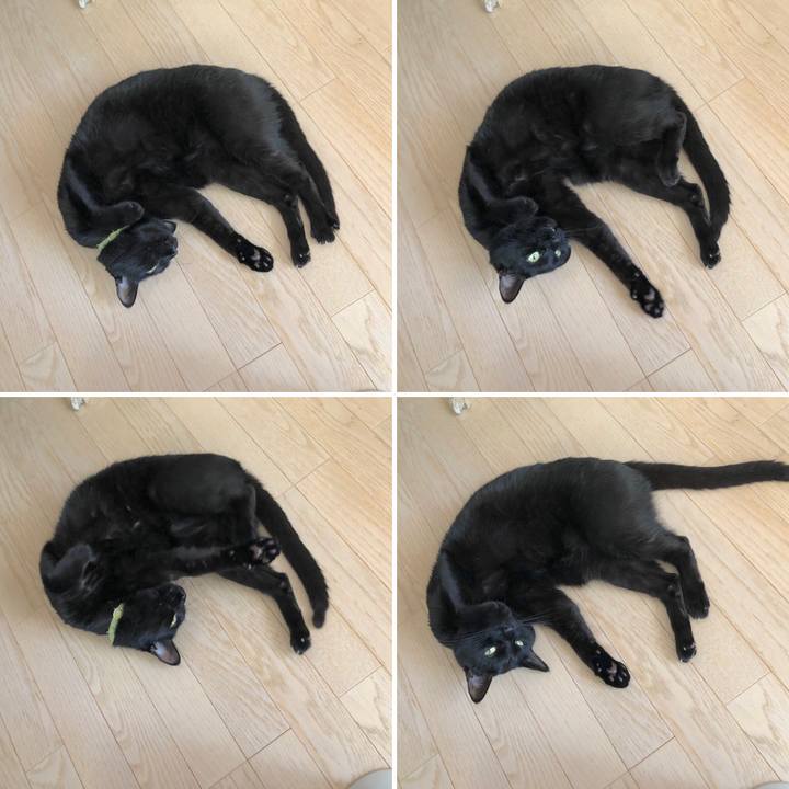 8c0e8c74 86da 48c0 b275 a5fc86702491 1552481224579