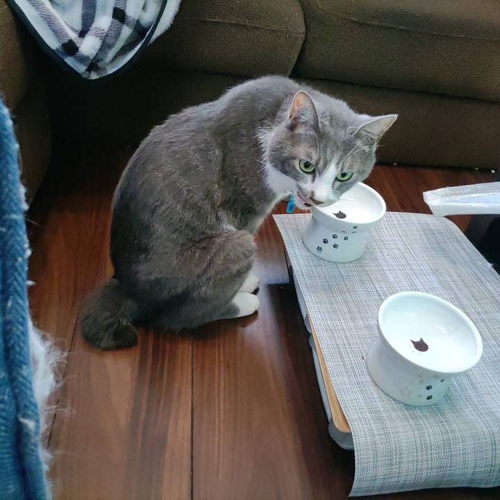 8c0ecf53 44d5 418f 8d6e 7870fb7f8dd0 1688941657712