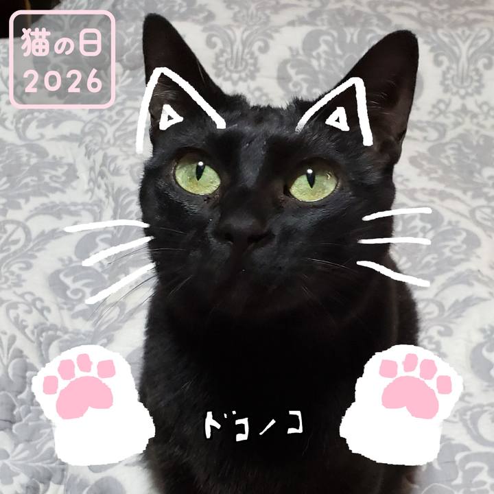 8c0f02e6 0b0b 4264 8e4a 5049a76fa660 1771763404763