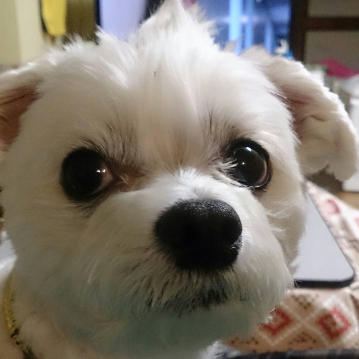 8c0f0f12 a15b 4ab5 a820 51bb6b4be321 1520850407419