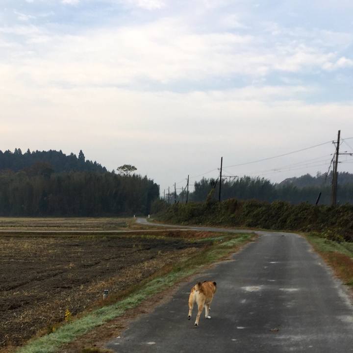 8c0f1148 68bb 4575 bcfe 47f2ec4db82b 1543192581082