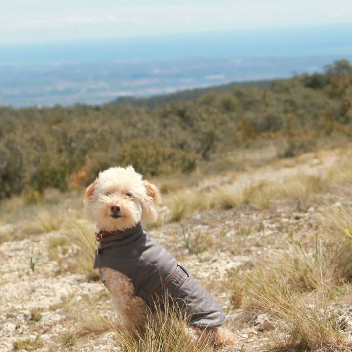 8c0f2419 5267 4371 b63c d396fe453cfa 1554923313037