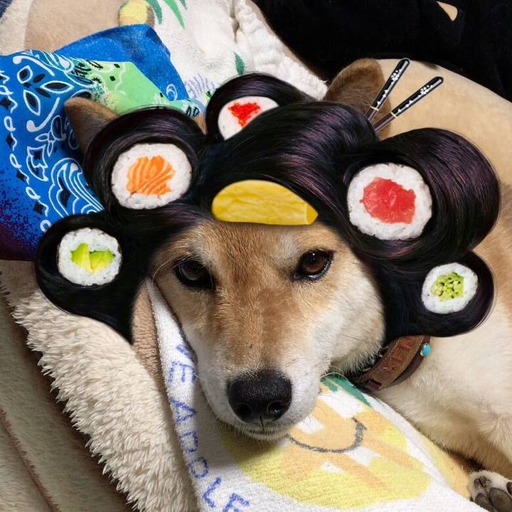 8c0f365a e6a4 4030 87aa 991ecca29439 1563975772430