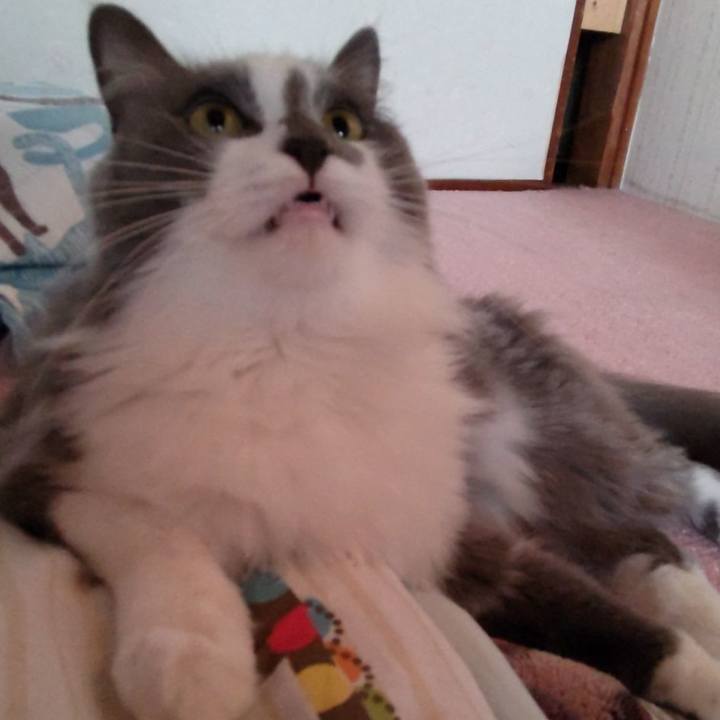 8c0f4a75 5fab 4665 9d79 70aa44468545 1637453253828