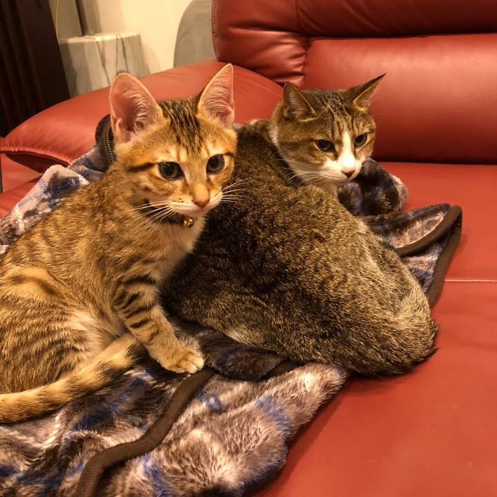 8c0f6bc0 8d98 4c57 8d7a b1d5d7ab7903 1542103653607