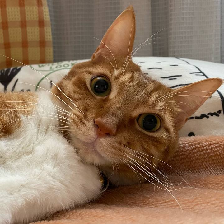 8c0f719c 4c4a 4eb1 8695 d126cc21b2f5 1588552417805