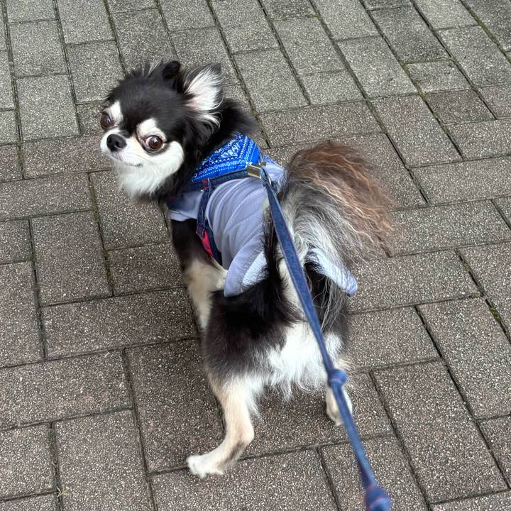 8c0f7b7f fa0b 41ba b6c9 25756a9232e4 1723305191524