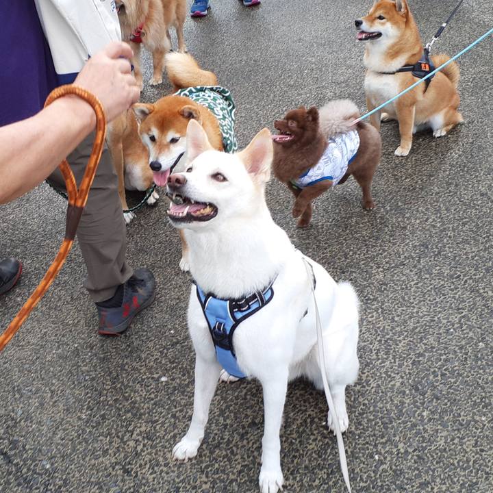 8c0fb5fb d710 491c b848 0baef4d991e8 1663541807359