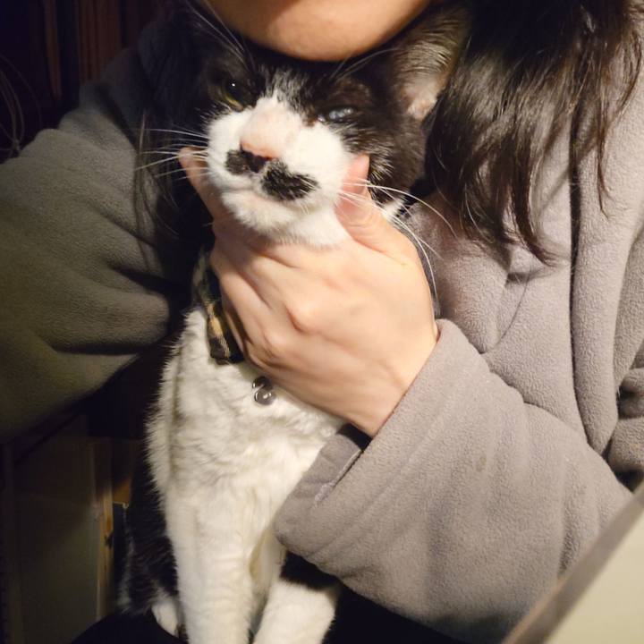 8c0fbedb 4f81 42c7 b349 28f84ebb1c55 1773412891821