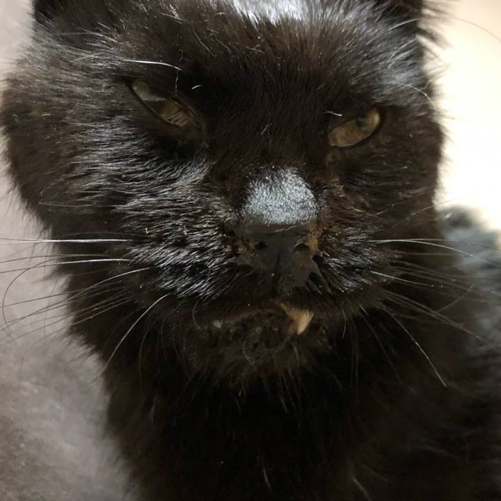 8c0fceef ccc4 47bf 8c1f 8934e4dc7c28 1647289785796