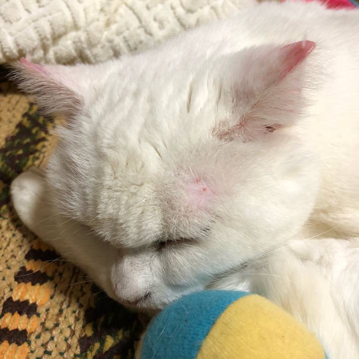 8c0fe924 5b41 4ce5 92b1 1bf8e98658f1 1538873737330