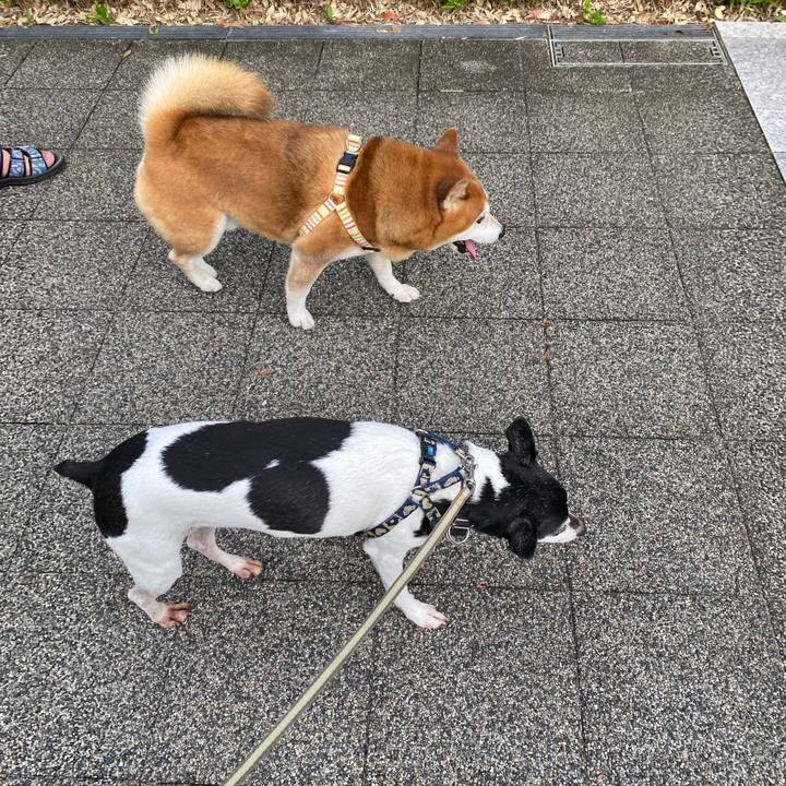 8c101a3a 320a 4cd9 aa9d 0ec80bf903d8 1597097706694