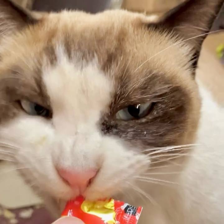 8c102afc 8513 4ac1 82da 472d878f6b4e 1732244587501