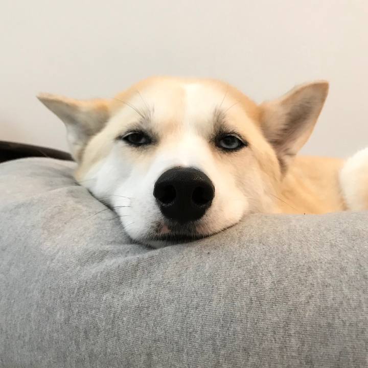 8c10c855 3f7f 479b bed8 dc9d8d932ed9 1544586635960