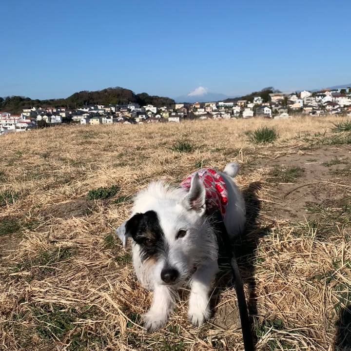 8c10ec9b b697 40de 93cd ec1f1b7b39fc 1740527608378