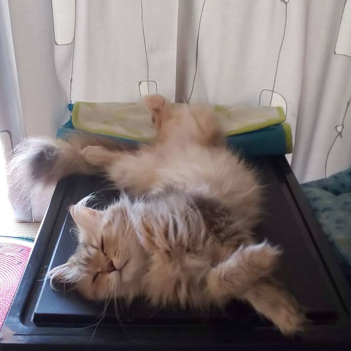 8c10efc7 3260 4828 9f3b 663eca180aa9 1626564795237