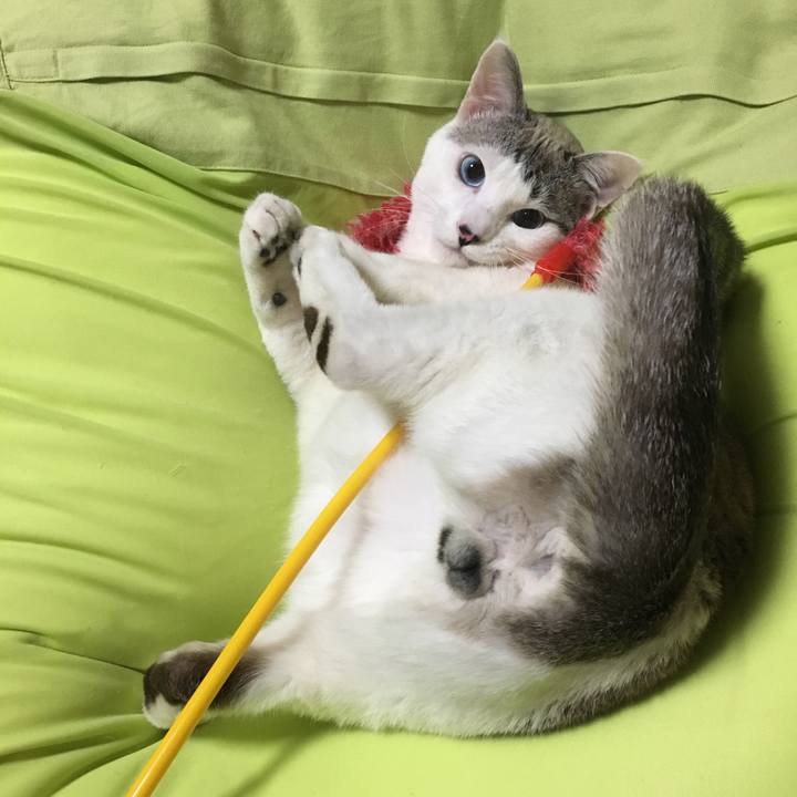 8c1115da bd79 4a94 a4fa 638eacceb684 1555077083190